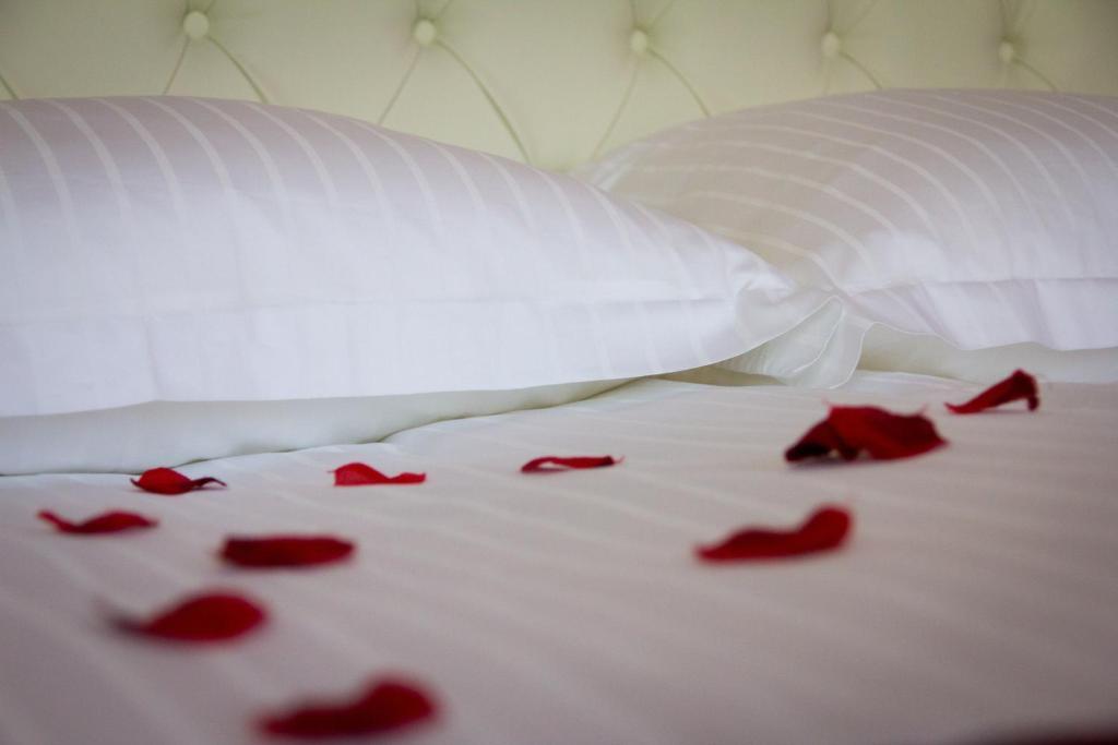 Guest House Sterk โนวาโกริคา ห้อง รูปภาพ